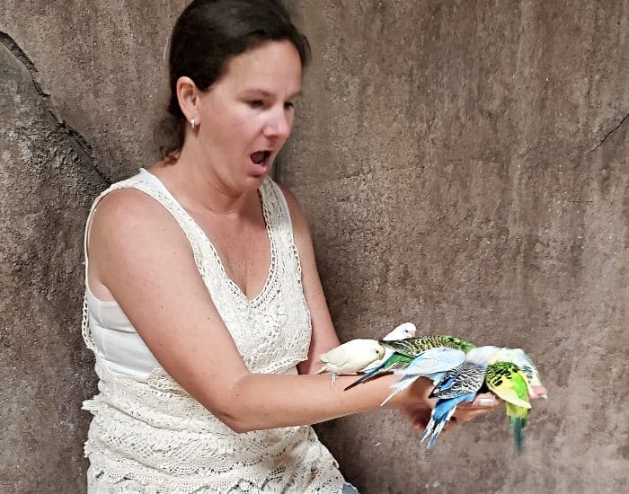 Bird feeding at SeaQuest