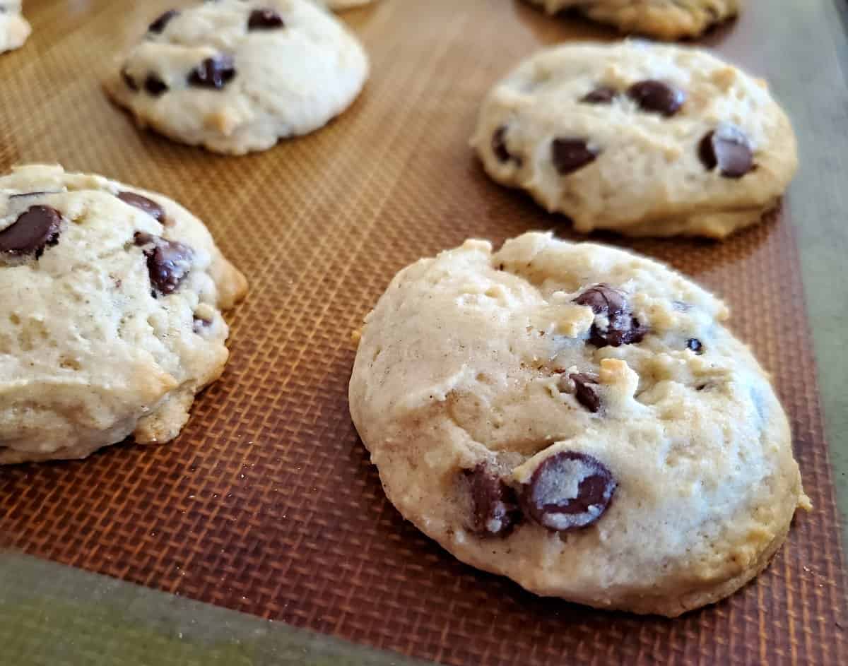 Cookies on a baking sheet fresh from the oven.