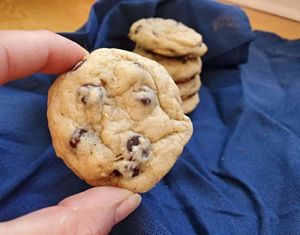 Holding a chocolate chip cookie with more cookies in a stack in the background.