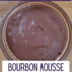 Overhead shot of bow of adult chocolate mousse.