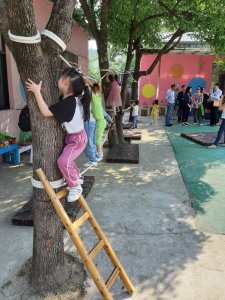 Anji Play: Let Them Learn through Play | Parents International