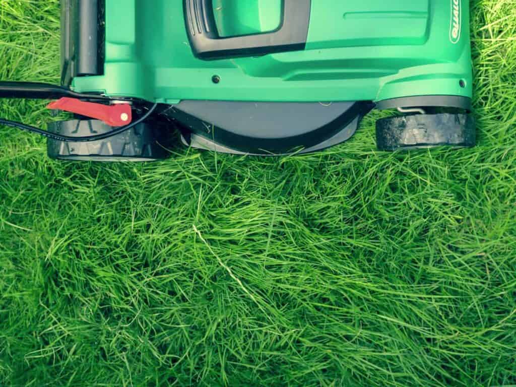 Lawn Care Products Market: Driving Growth Through Innovation and Sustainability