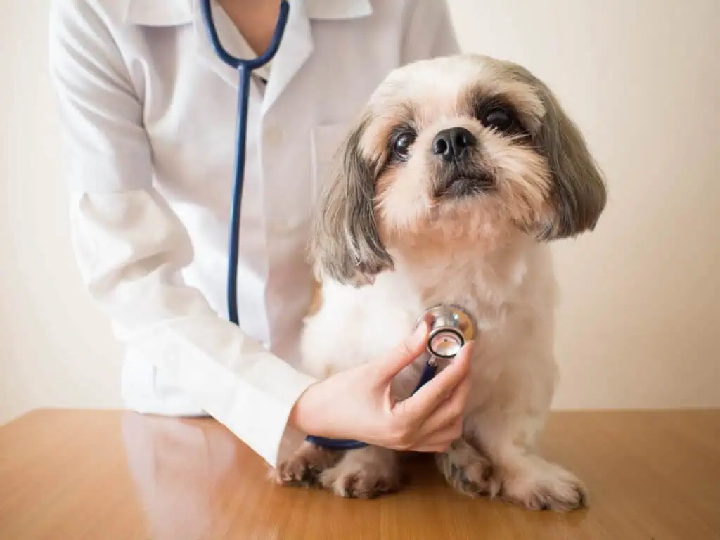 Animal Health Market Projected to Reach USD 80.12 Billion by 2030, Growing at a CAGR of 7.0%