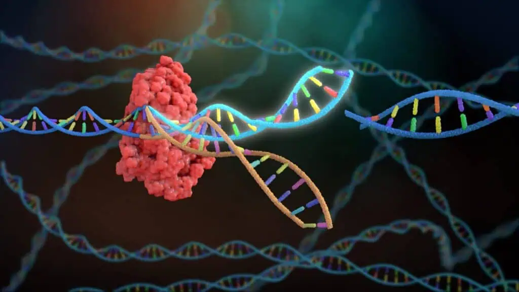 CRISPR Cas9 Market: Revolutionizing Genetic Engineering and Therapeutics