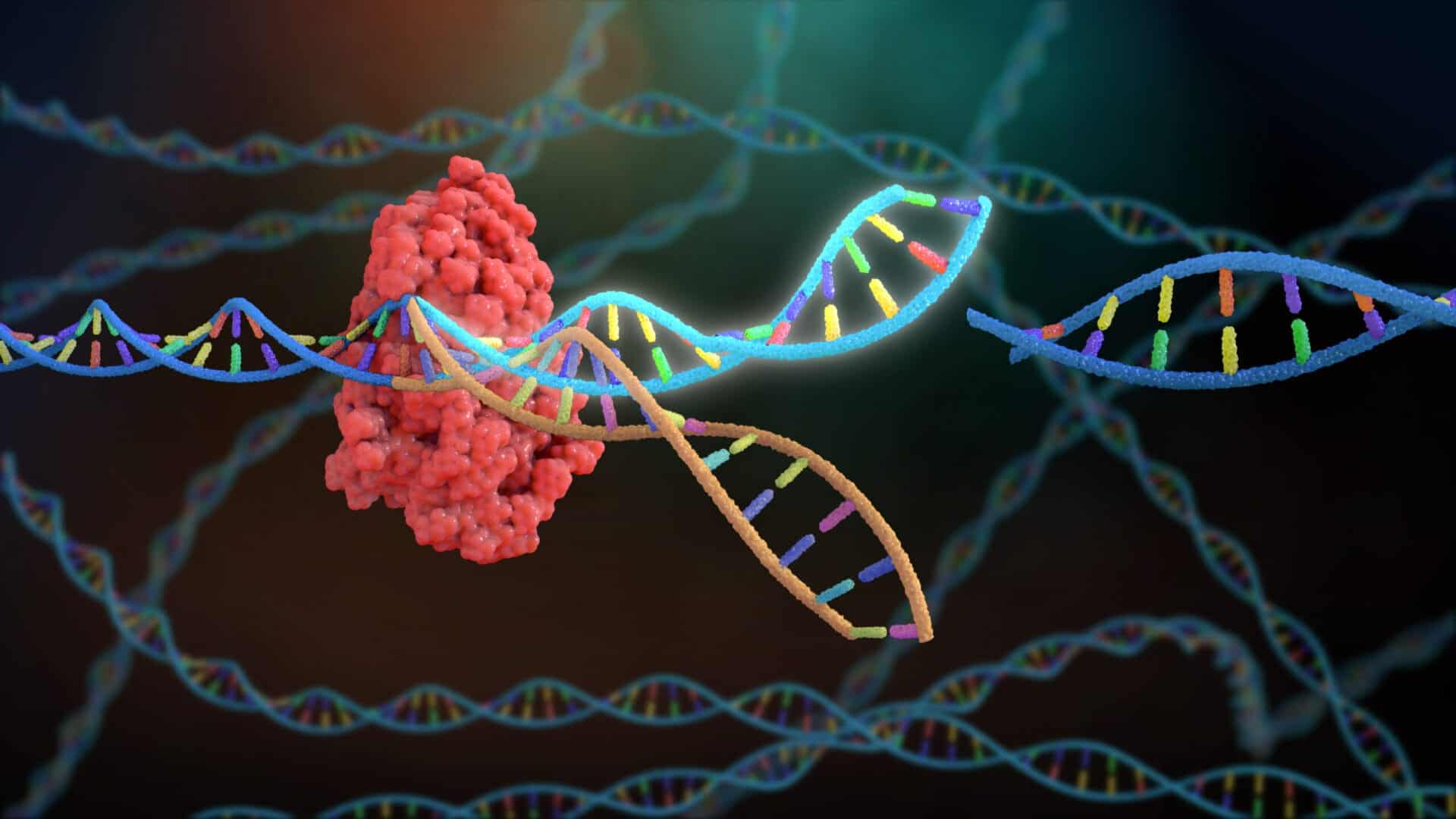 CRISPR Cas9 Market: Revolutionizing Genetic Engineering and Therapeutics