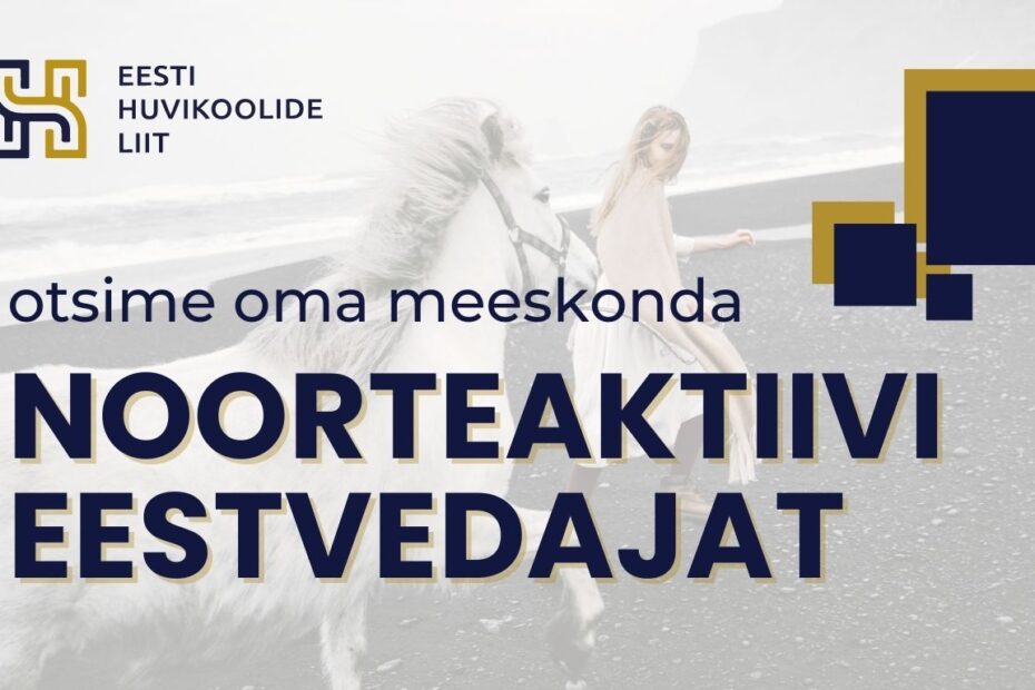 otsime noorteaktiivi eestvedajat