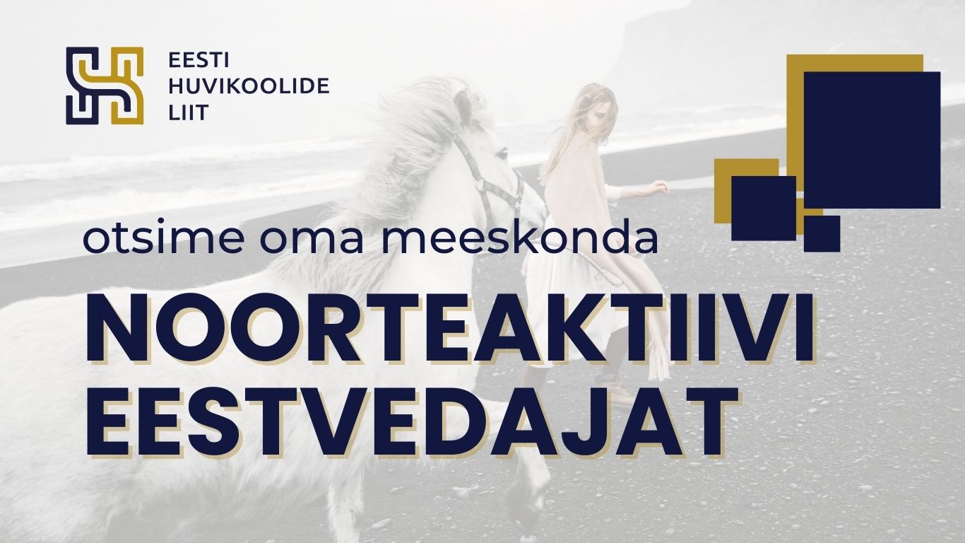 otsime noorteaktiivi eestvedajat