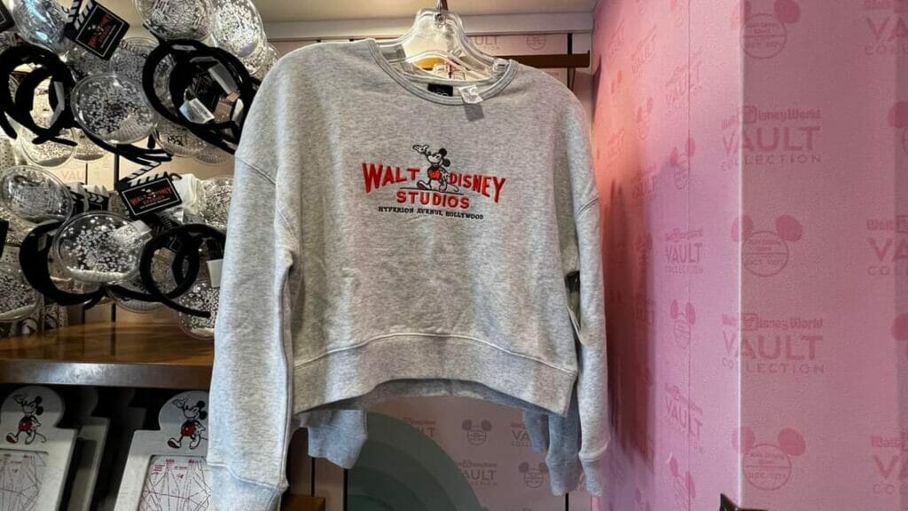 Disney100 Merchandise