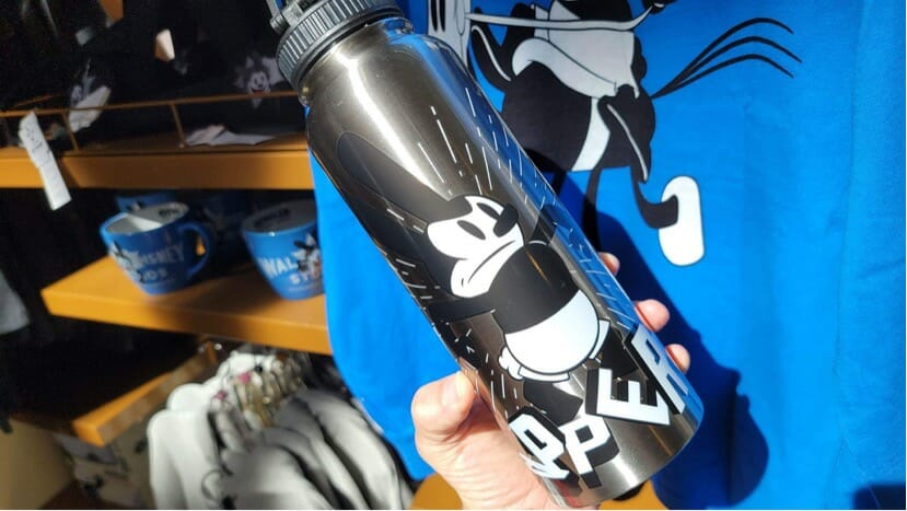 Disney100 Merchandise