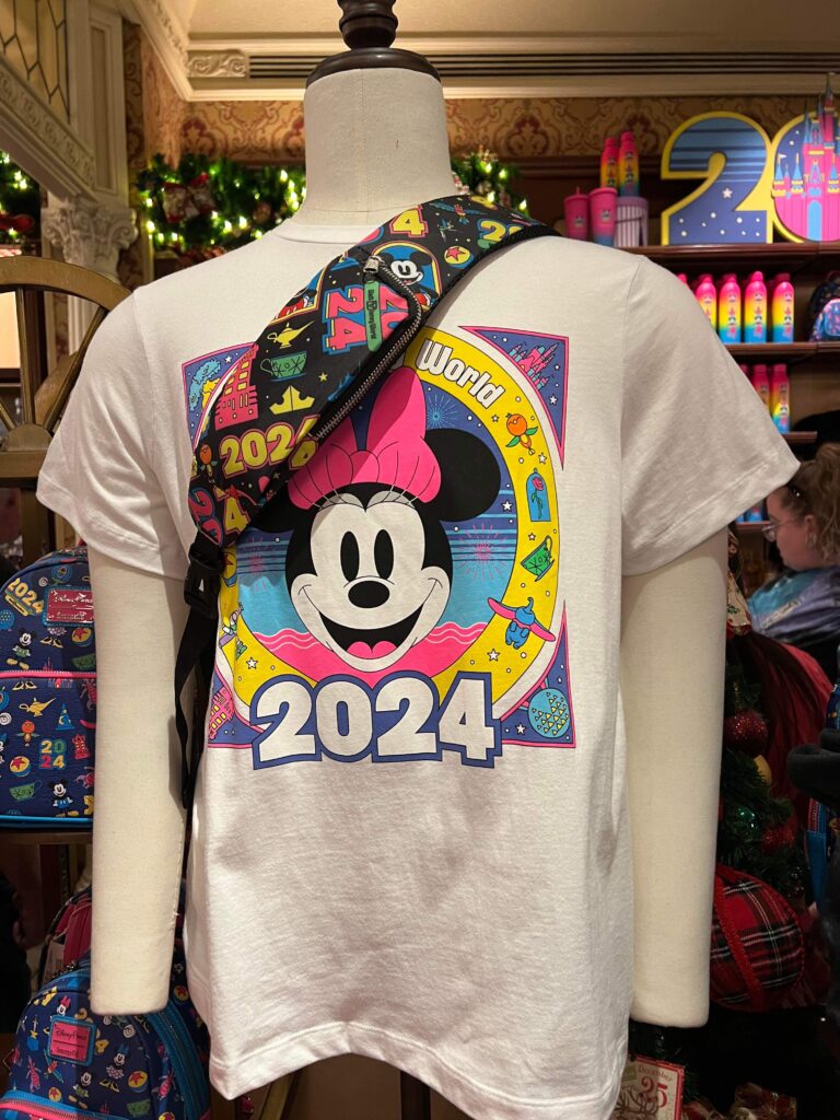 2024 Disney World Collection