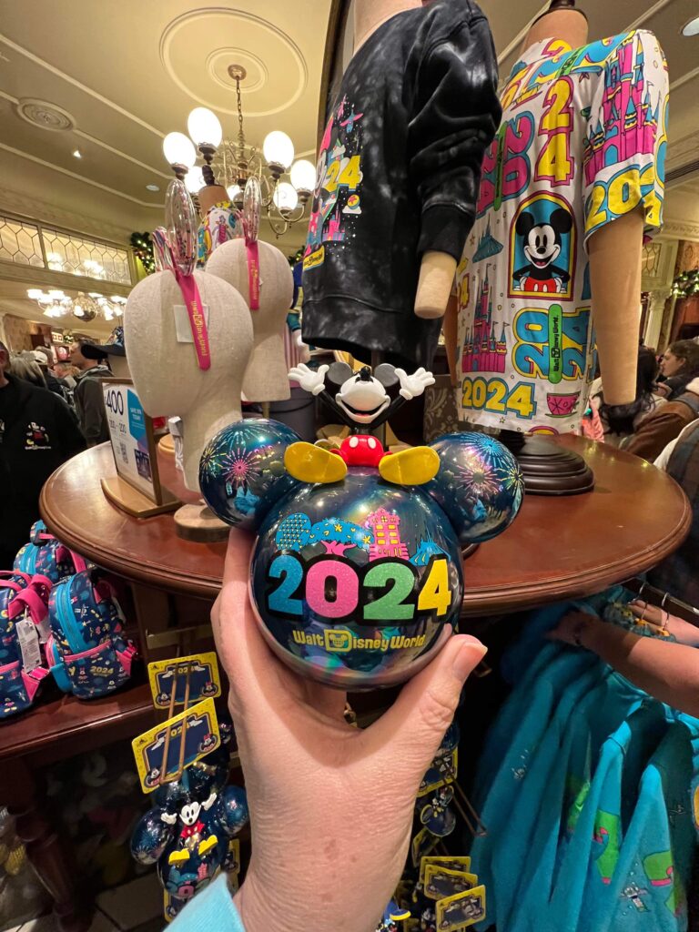2024 Disney World Collection