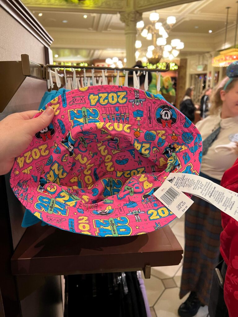2024 Disney World Collection