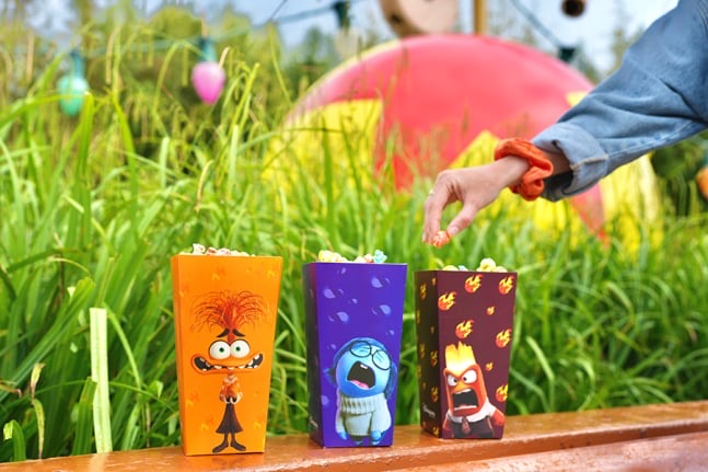 Inside Out 2 Experiences and Products
