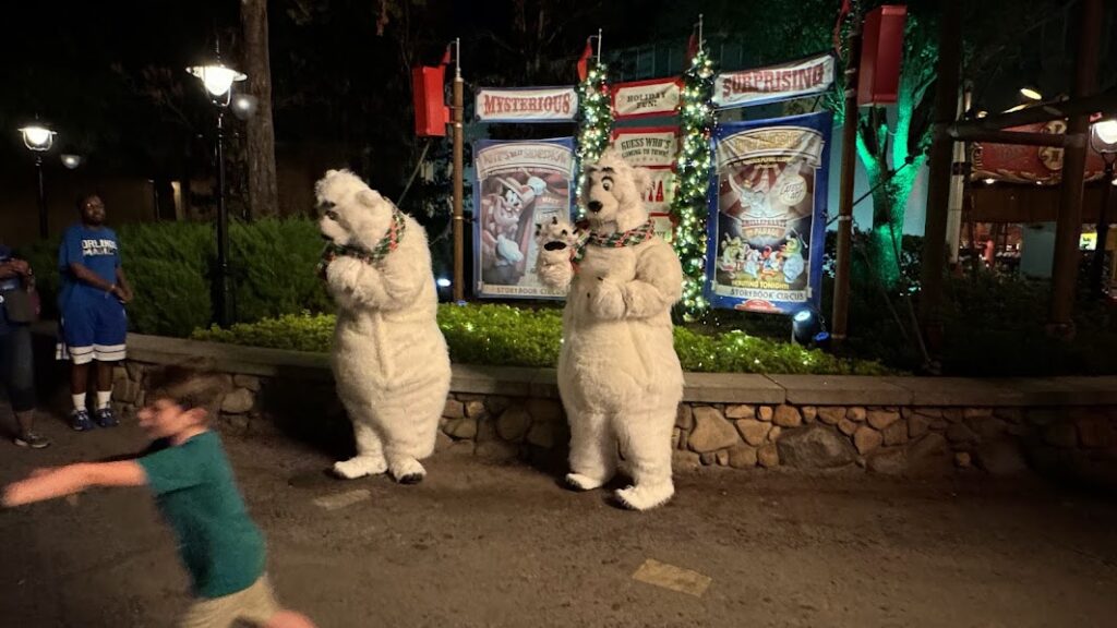 polar bears