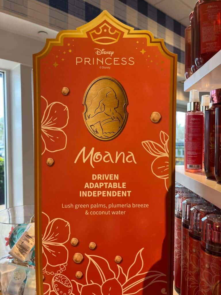 Disney Princess Collection by Bath and Body Works