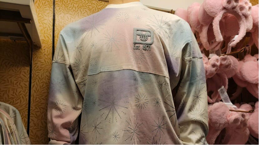 Disney100 Merchandise