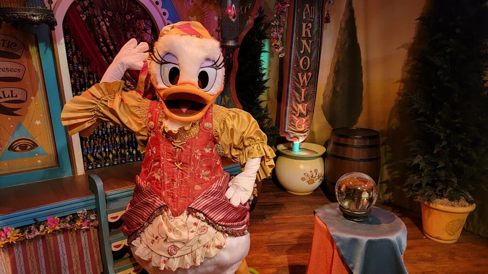 daisy