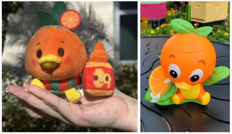 orange bird