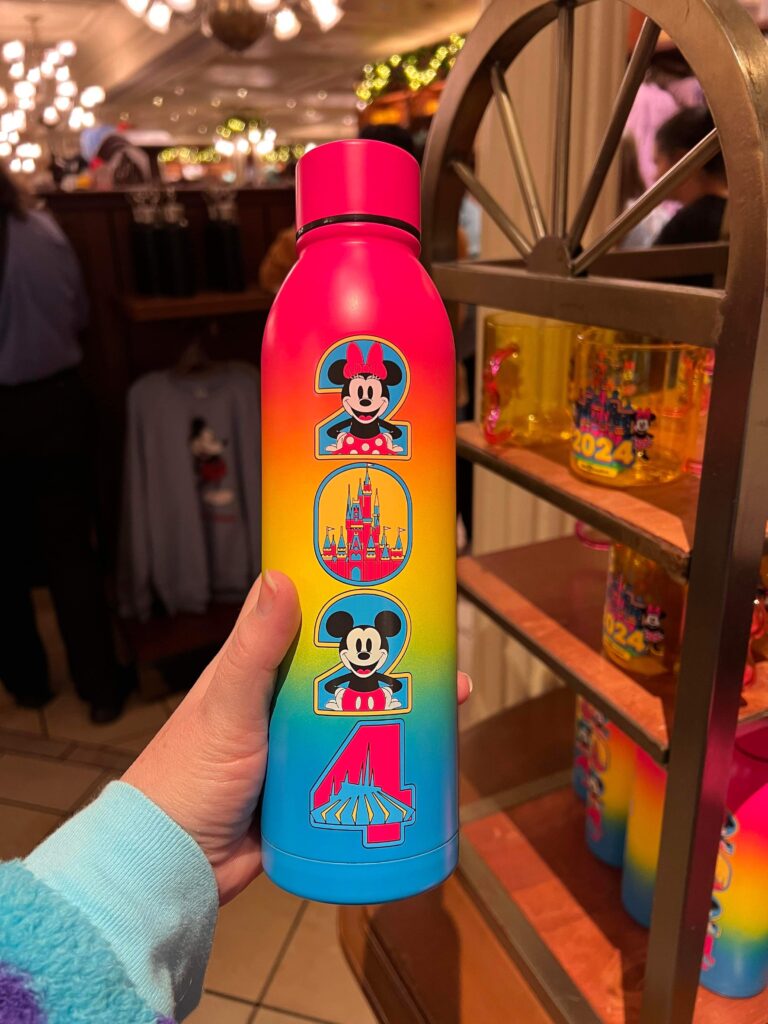 2024 Disney World Collection