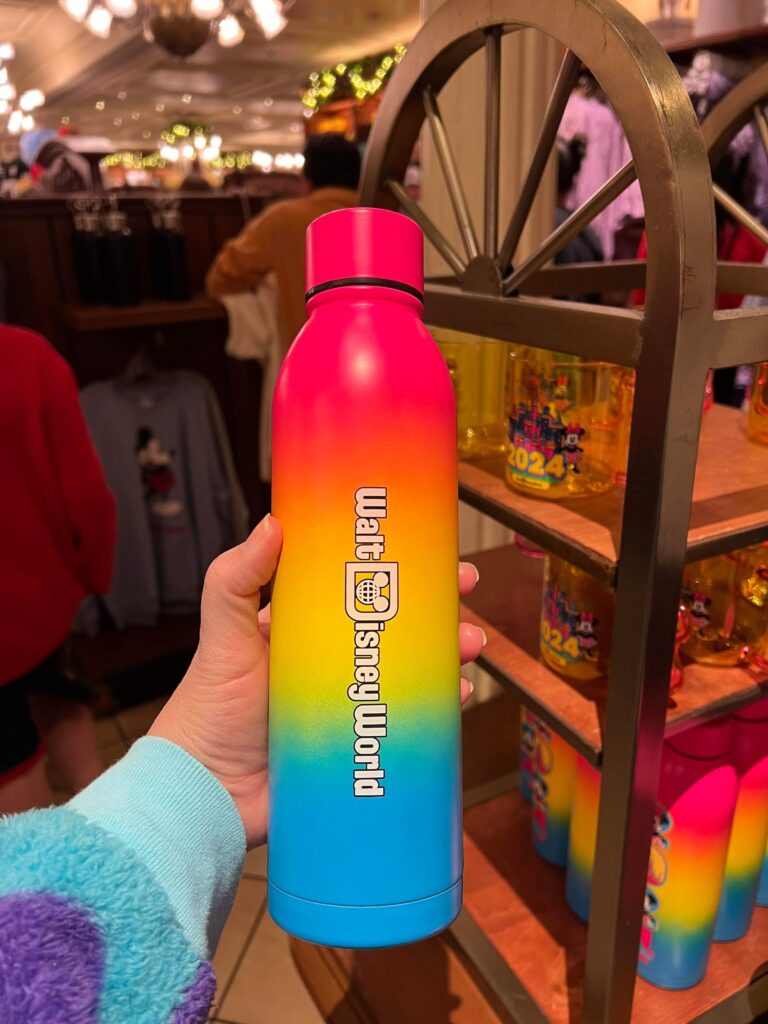 2024 Disney World Collection