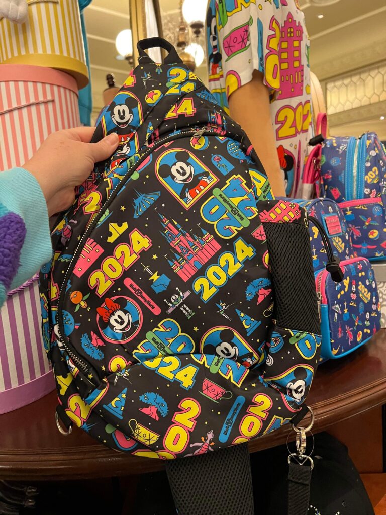 2024 Disney World Collection
