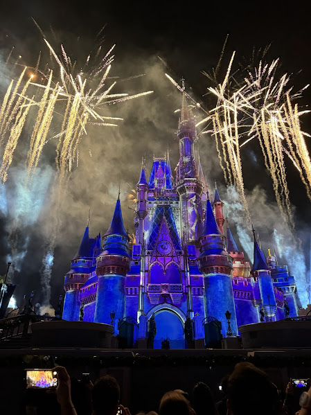 minnie fireworks