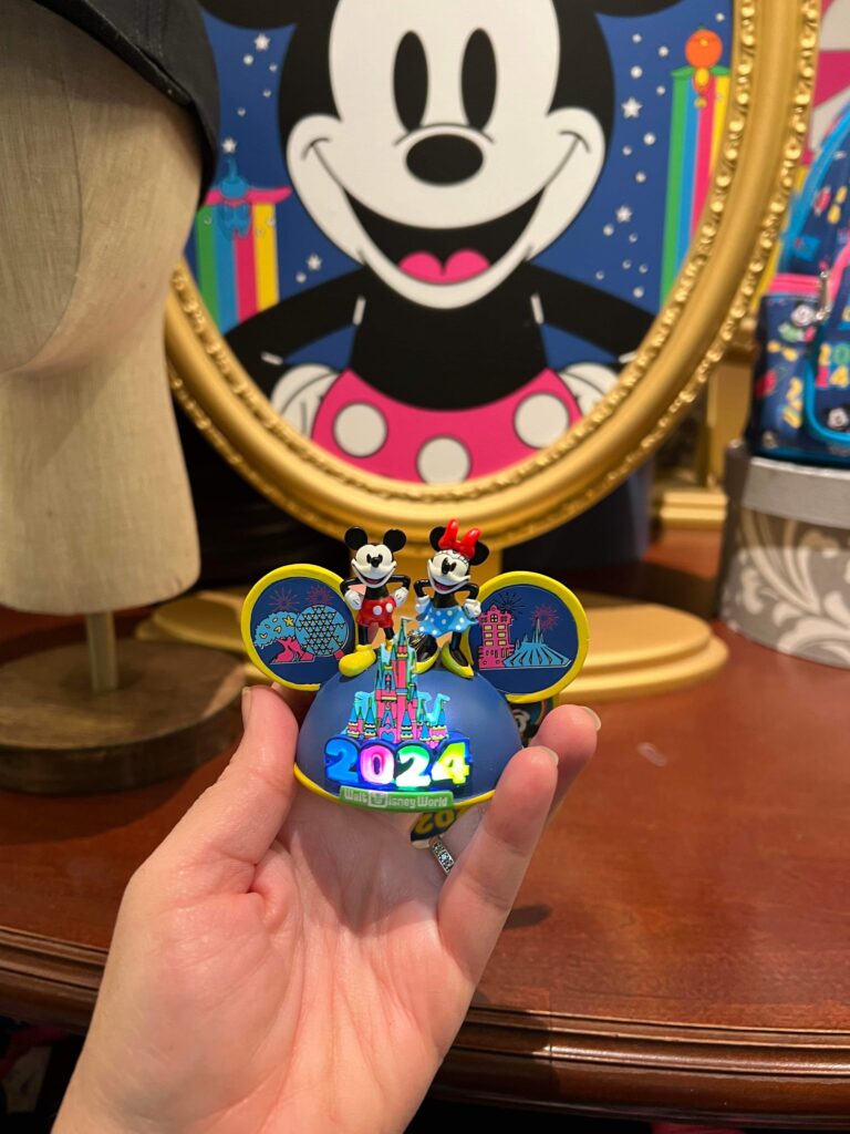 2024 Disney World Collection