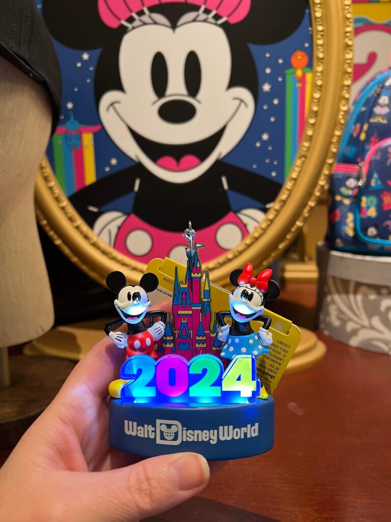 2024 Disney World Collection