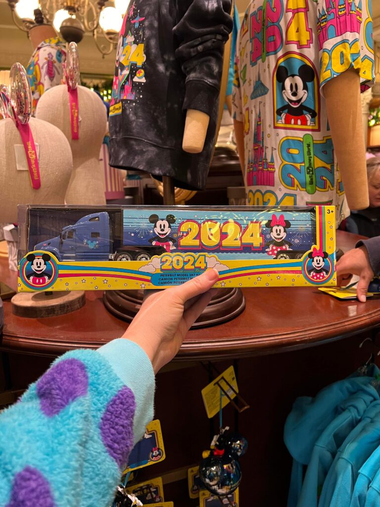 2024 Disney World Collection