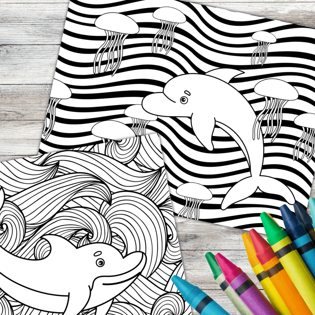 DOLPHIN COLORING PAGES