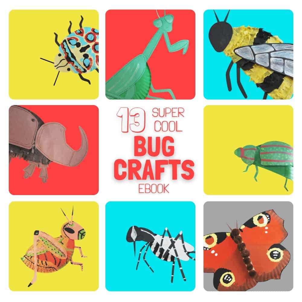PAPER PLATE BUG CRAFTS