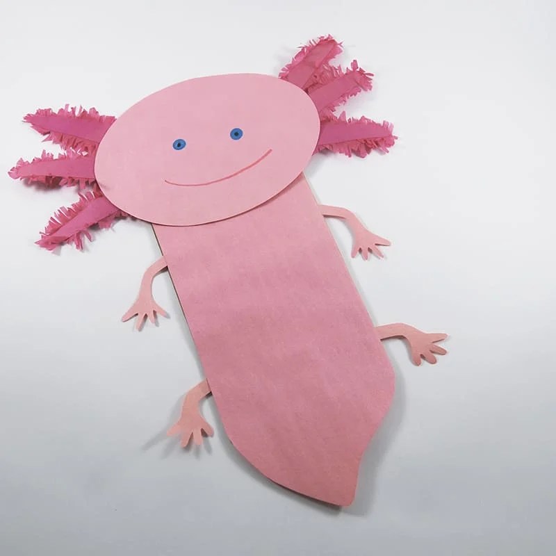axolotl craft puppet for kids 