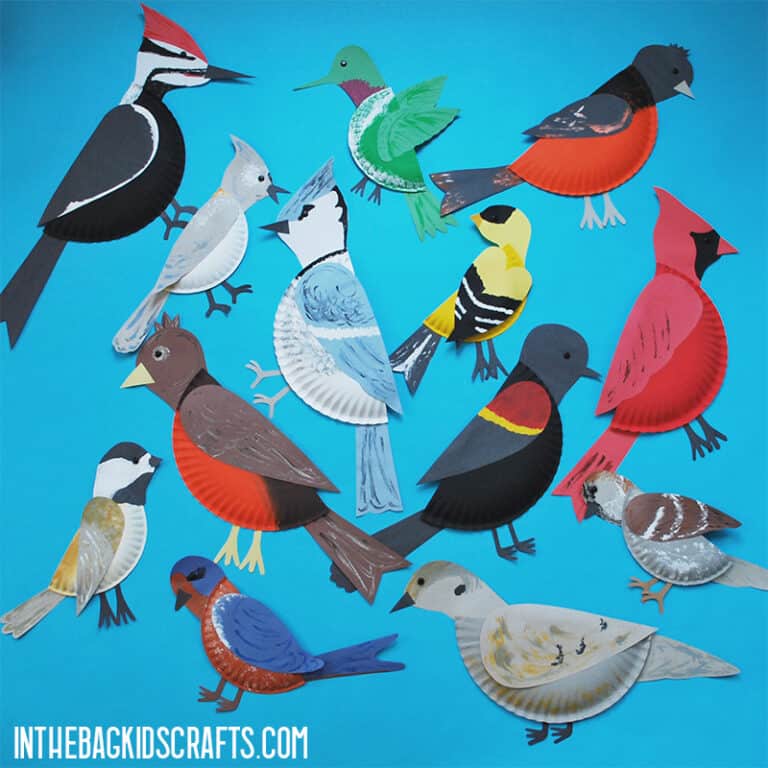 paper plate bird crafts collection