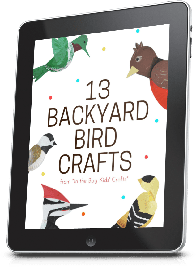 backyard birds craft collection