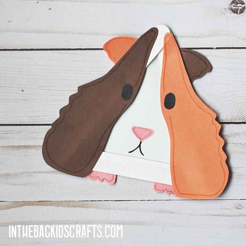 PET CRAFTS GUINEA PIG 