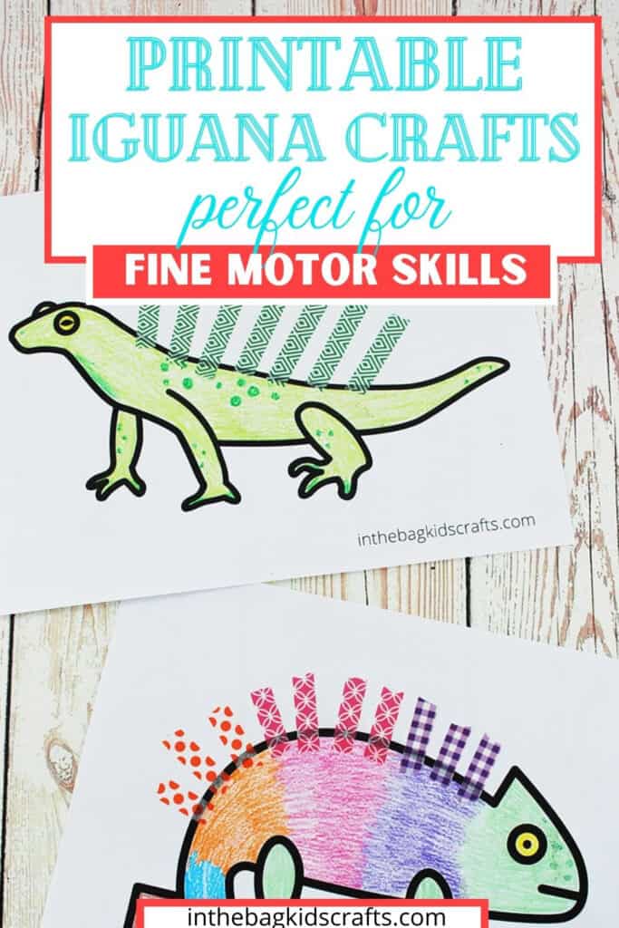 IGUANA COLORING PAGES PINTEREST IMAGE 