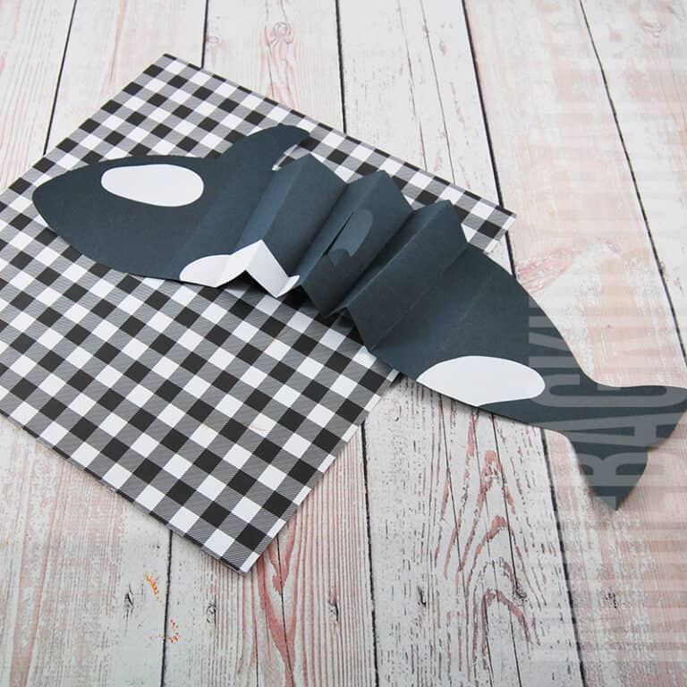 Orca Craft for Kids
