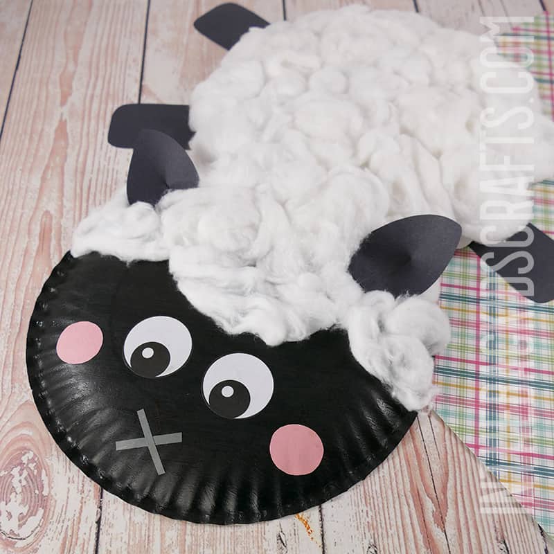 Paper Plate Sheep Craft for Kids with Cotton Balls