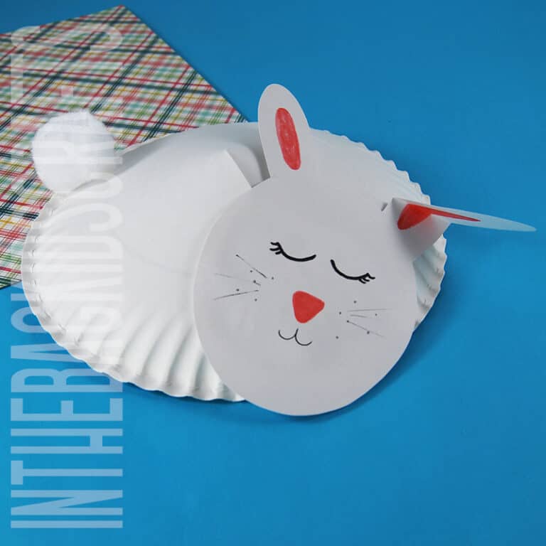 Cute Bunny Craft for Kids