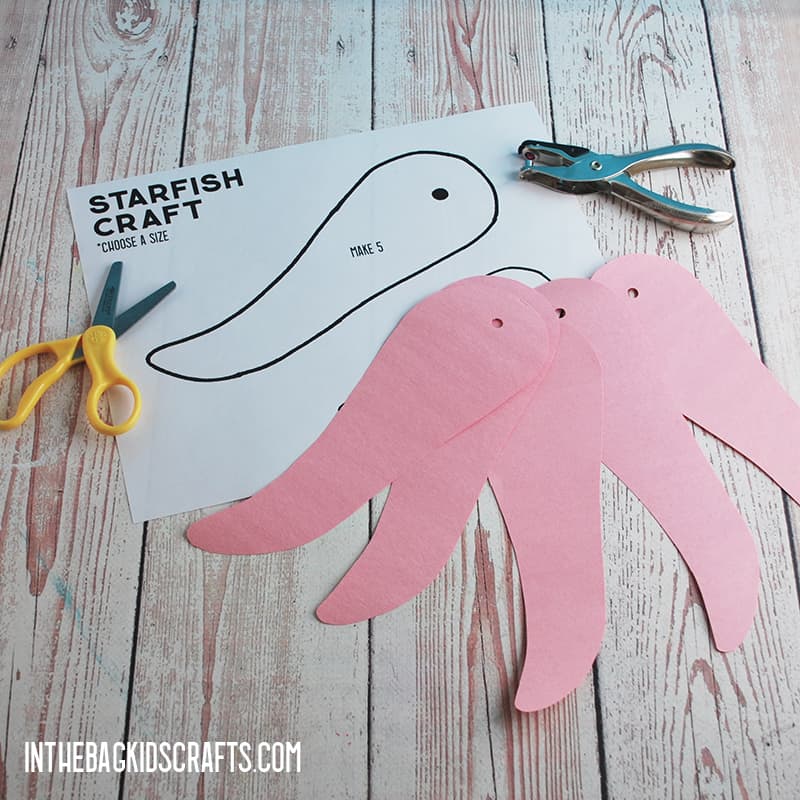 STARFISH CRAFT STEP 1