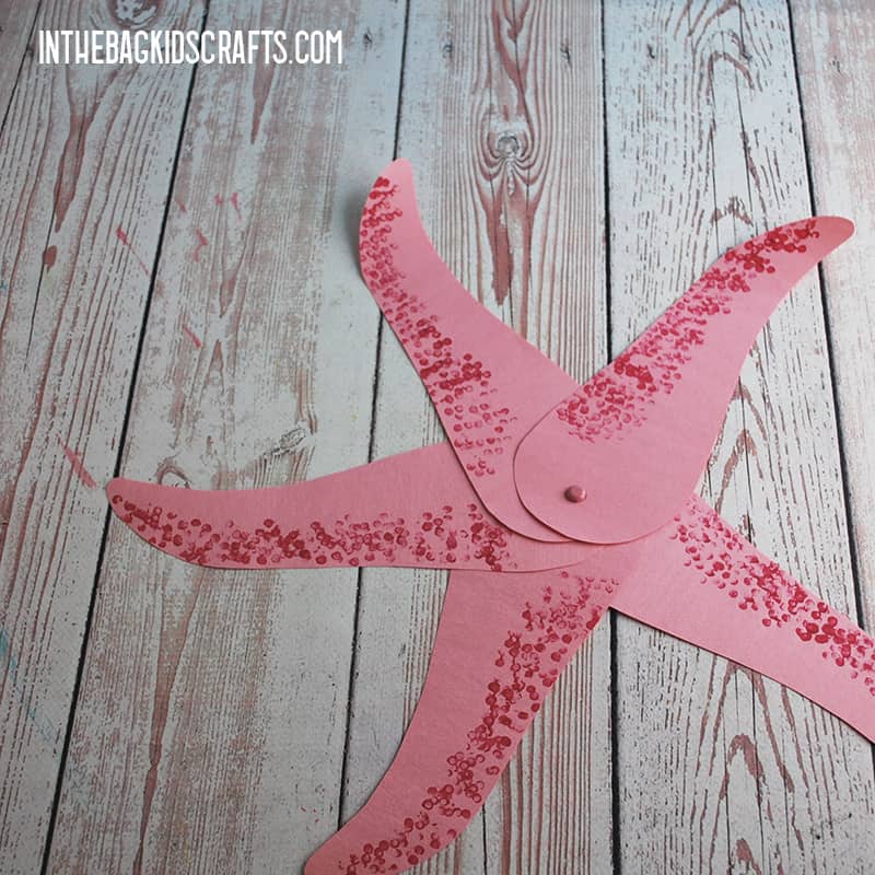 STARFISH CRAFT STEP 4