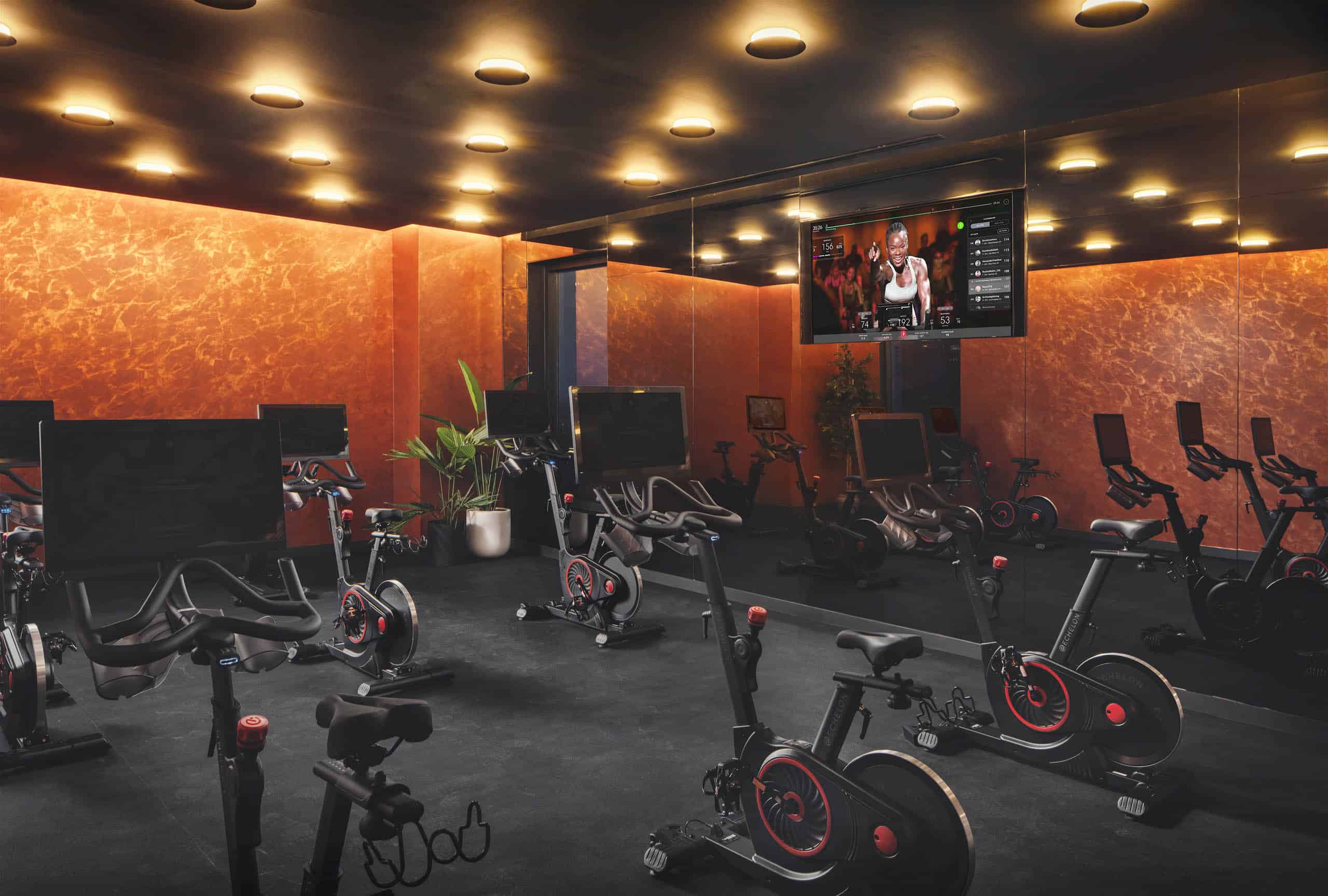 whistler-gym