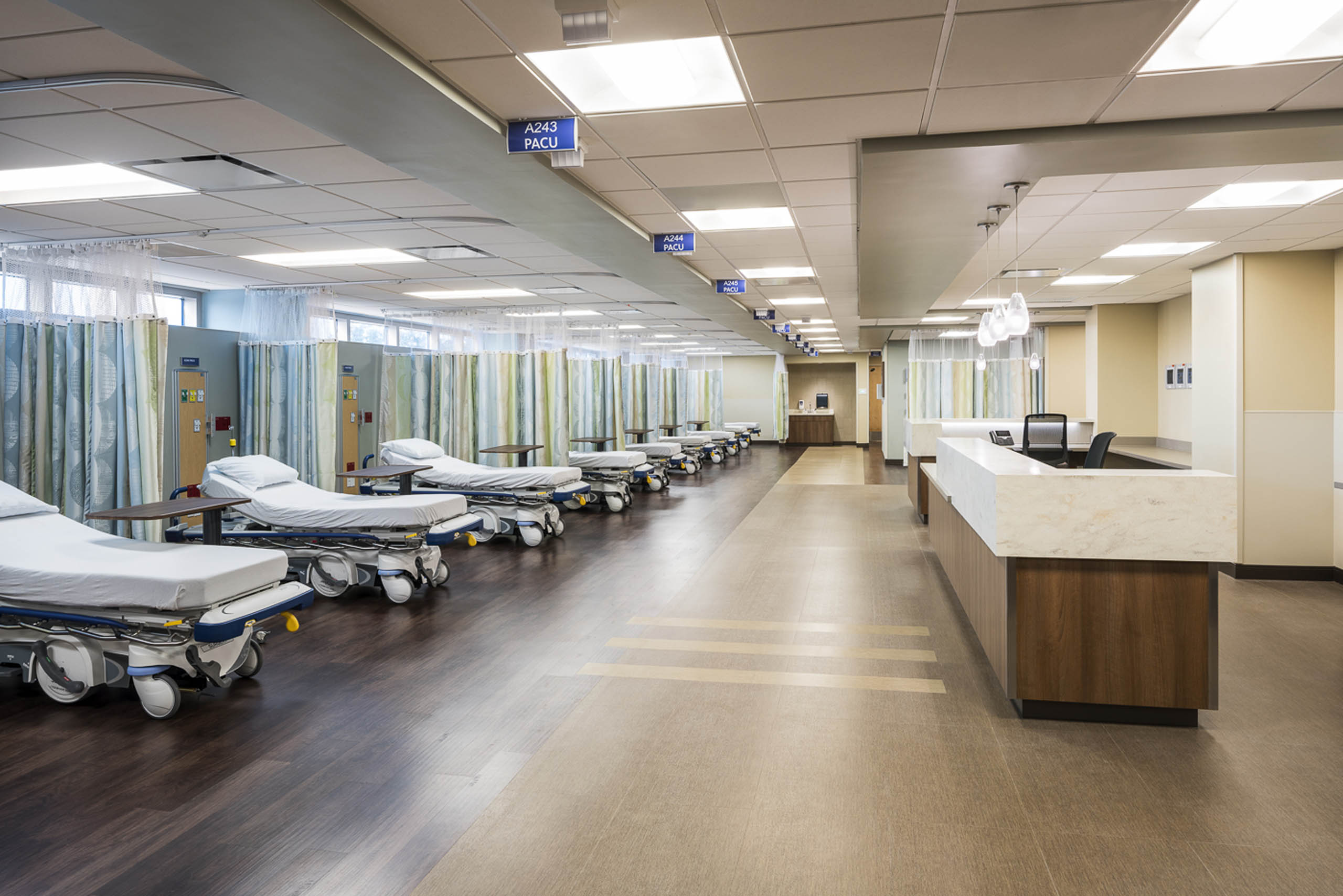 baycare-morton-plant-hospital-beds