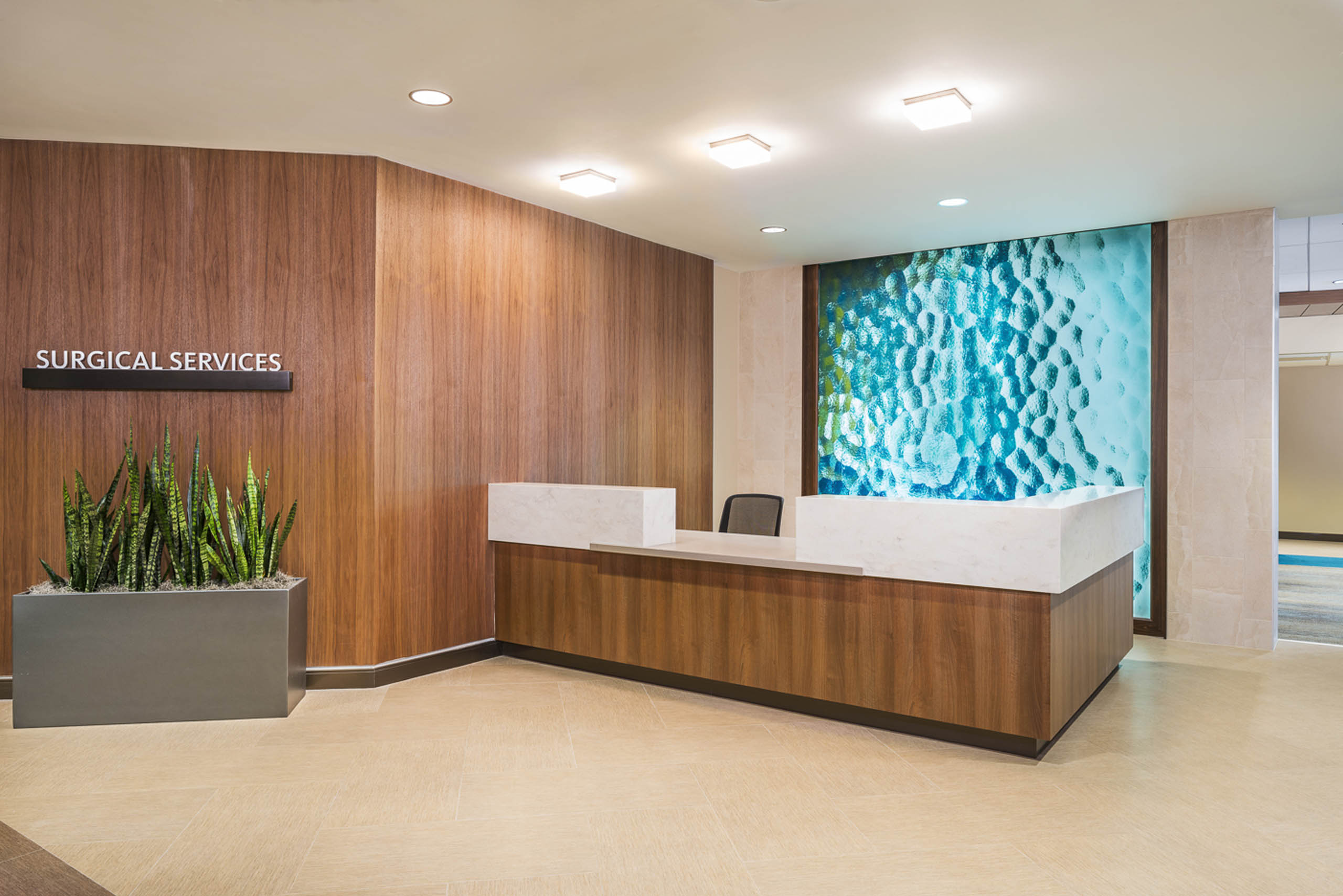 baycare-morton-plant-hospital-surgical-services