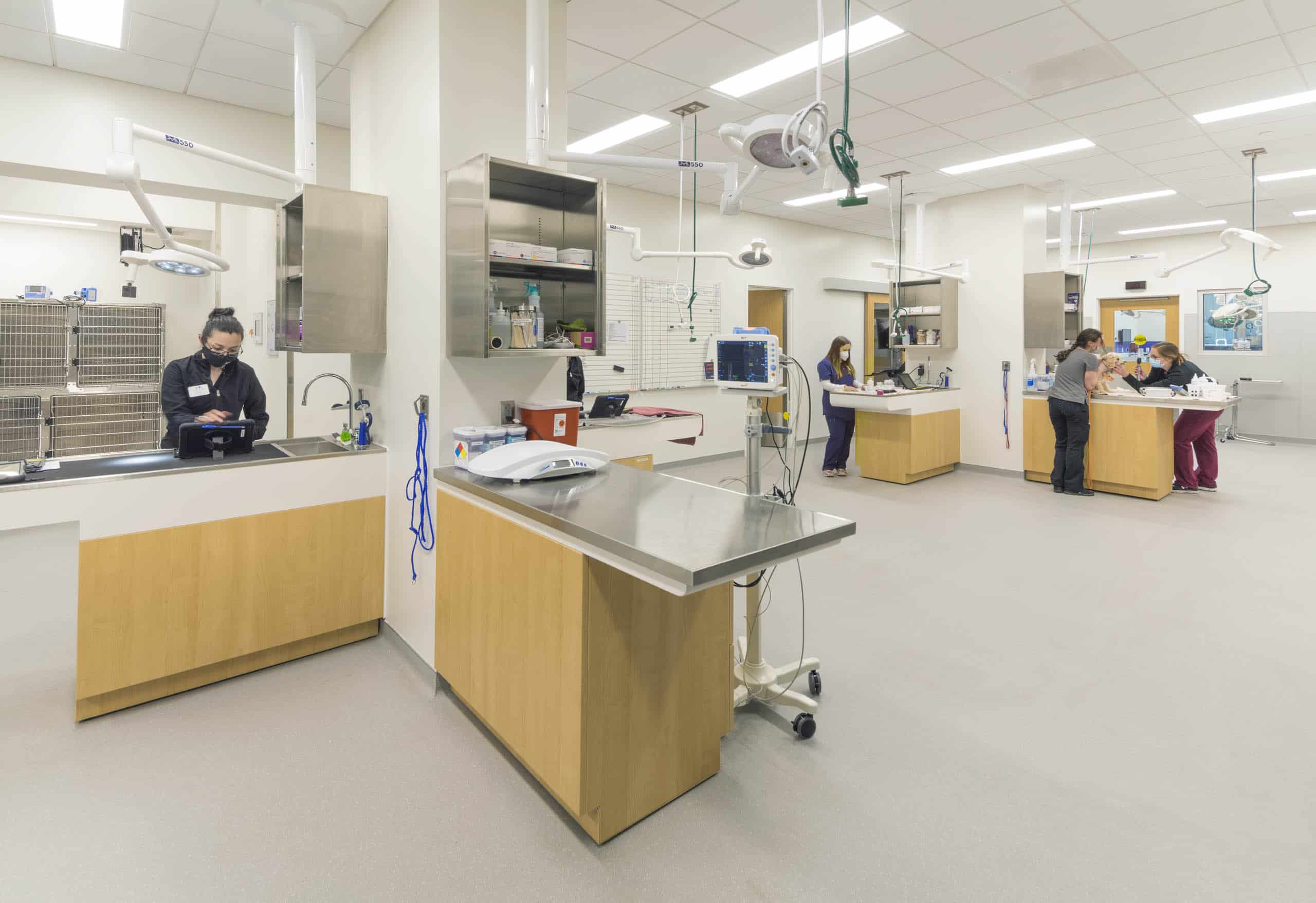 csu-spur-vida-exam-room