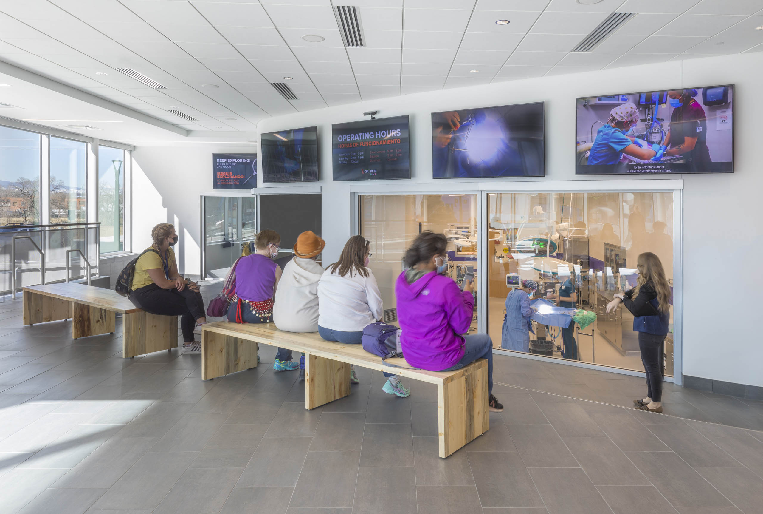 csu-spur-vida-surgery-viewing