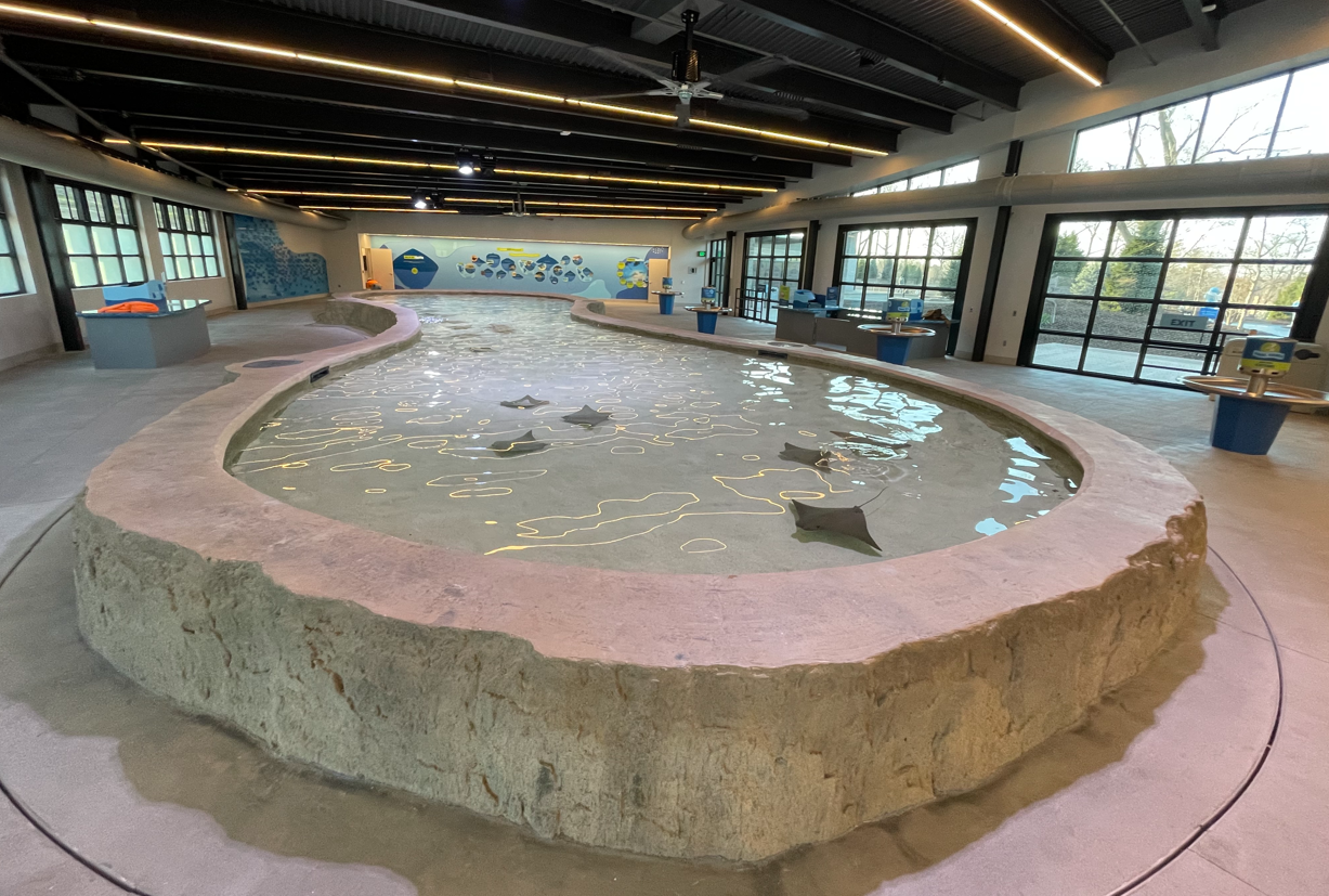 henry-doorly-zoo-omaha-stingray-beach-exhibit