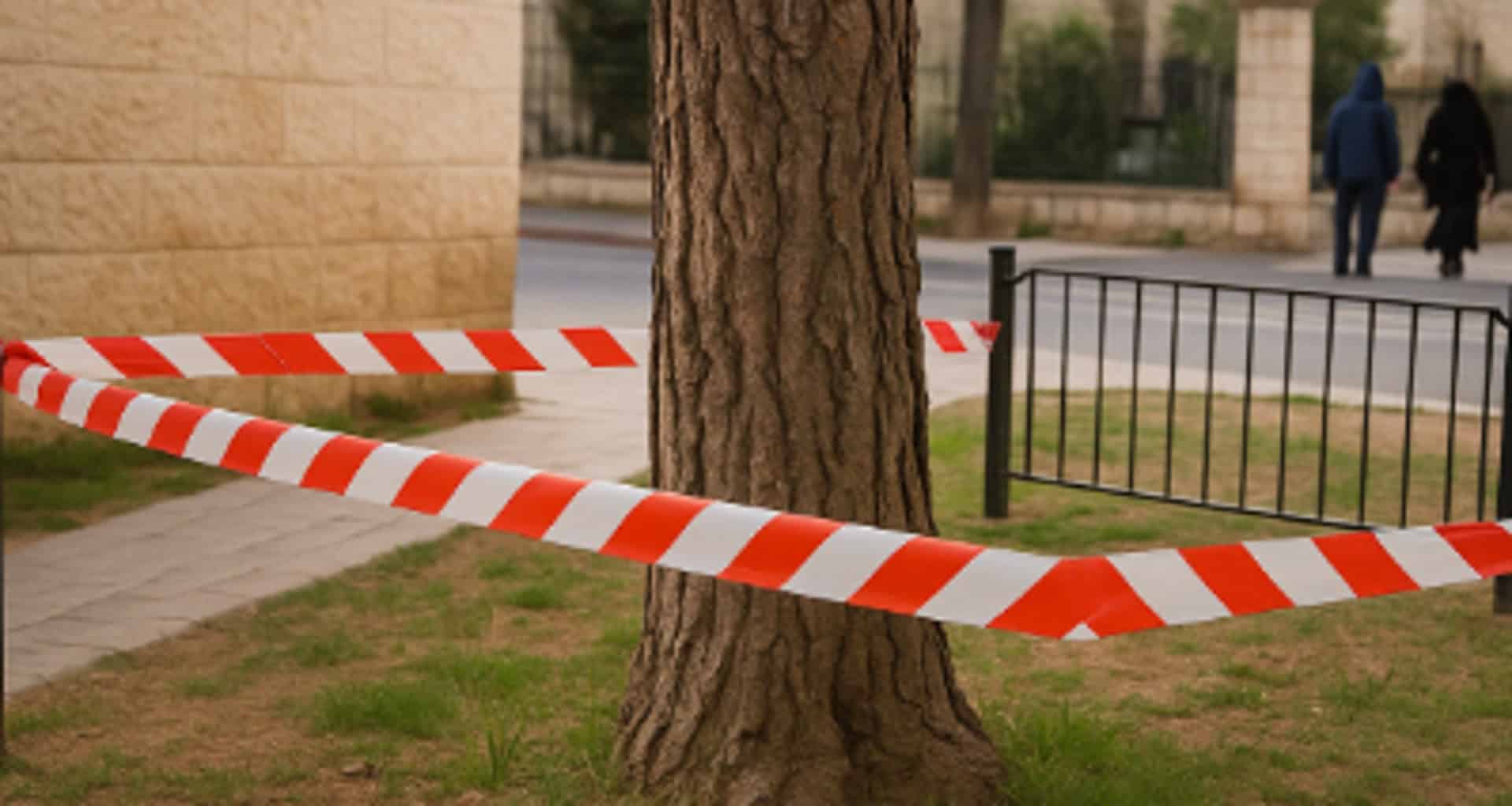 עץ גדול בפארק עירוני בירושלים, מוקף בסרט אזהרה אדום-לבן, מסמל סגירה או סכנה סביבתית. ברקע נראים מבנים ירושלמיים ואזרחים חולפים.