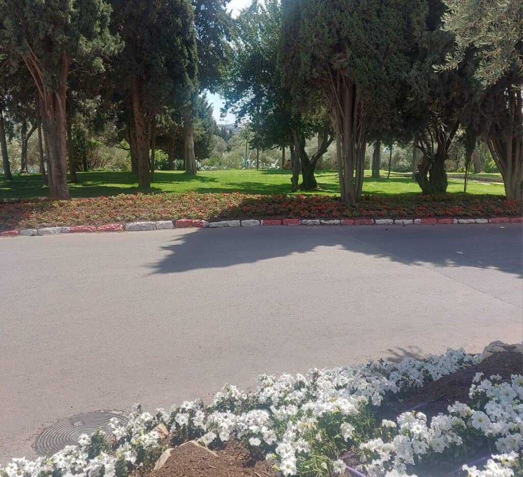 תמונת שטח ירוק בעיר ירושלים, עם עצים ושיחים פורחים בשולי הכביש.