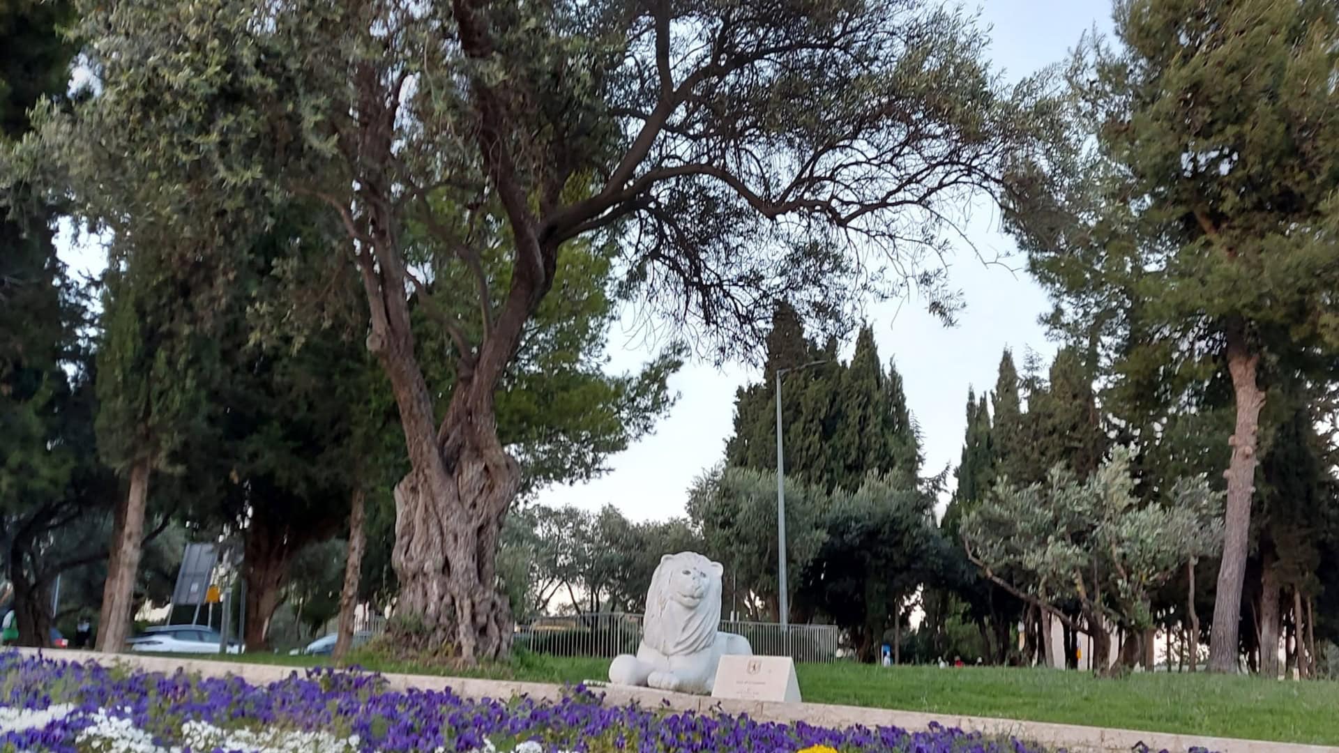 פסל אריה בירושלים לצד כביש מרכזי ותמרור חניה